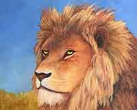 Exercise your painting skills with a lion.
