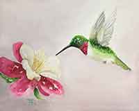 Paint a Ruby-throat Hummingbird visiting a fuchsia.