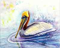 Paddlin' Pelican original watercolor painting by artist Carol May