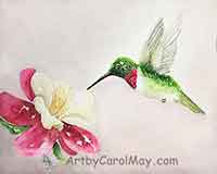 Paint a Hummingbird