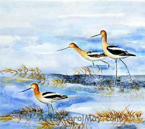 Avocets The watercolor art supplies I use and why - artist Carol May