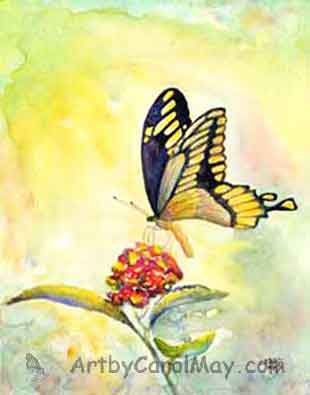 Butterfly painted done with tube watercolors.