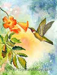 Ruby-throated Hummingbird watercolor painting on paper Ruby-throated Hummingbird watercolor painting on paper