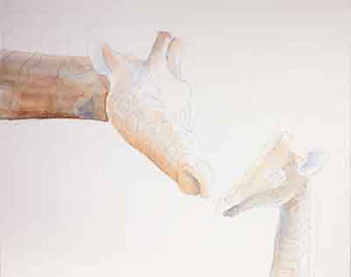 Paint the lighter areas of watercolor first.