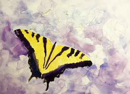 Paint the rest of the large black areas on the wings. Paint the large black areas on the rest of the butterfly wings.