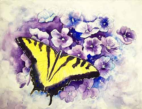 Removing the masking fluid exposes white areas. You are almost finished painting your butterfly - Remove the masking fluid to expose the white areas