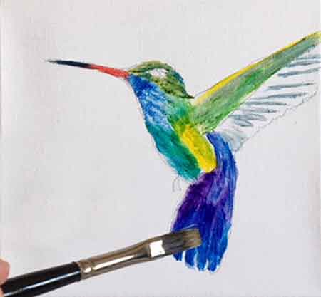 Lay in the underpainting colors of the hummingbird