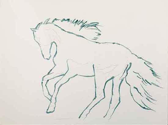Apply masking fluid to the outline of the horse. Draw the horse on Aquabord.