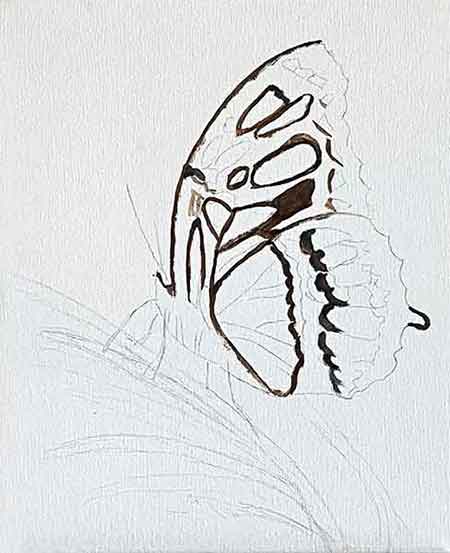Oil paintings start with the dark colors. Paint the dark colors on the butterfly first.