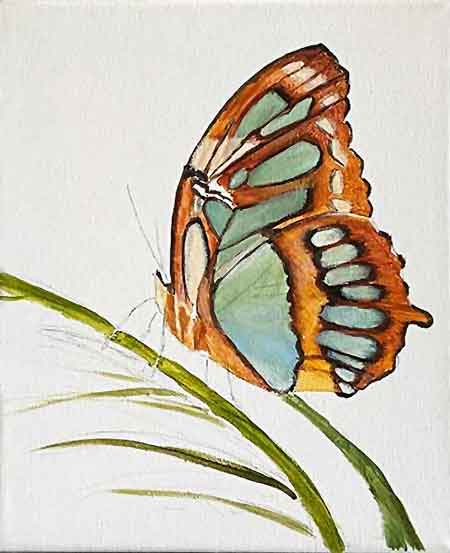 Butterflies hold their wings up when they land. Paint something for the butterfly to land on.