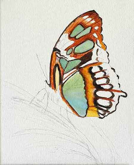 Paint your butterfly with value, color and size contrats. Use contrasting colors while painting your butterfly.