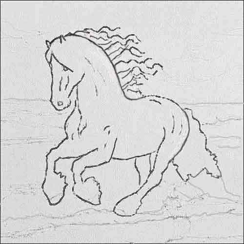 Lightly sketch the painting on the canvas.