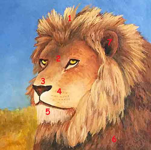 Start detailing the features of the lion painting.
