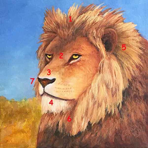 Now you know how to paint a lion