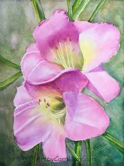 Step by step how to paint a daylily with watercolor
