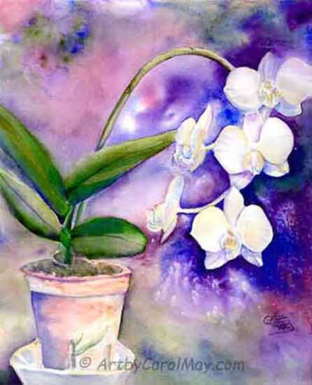 Orchids are good subjects for still life paintings.