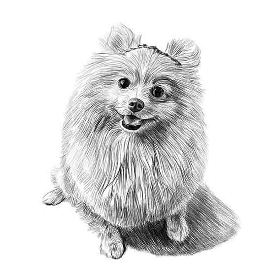 Graphite pencils are a common art medium.