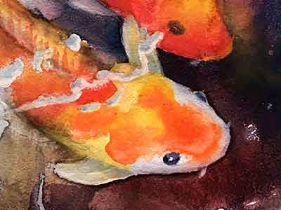 Soften the edges of the Koi. Detailing the koi painting