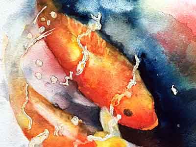 Use a damp brush to pull the extra color off the back fin of the koi. Retrieve the fins of the Koi.