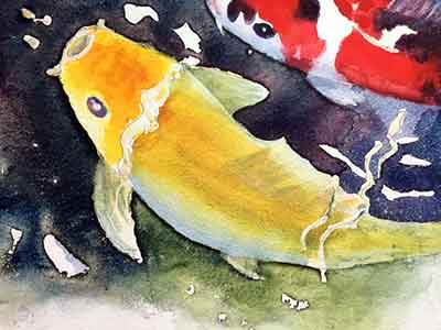 Leave hard edges on the focal Koi fish. Keep the contrast between the focal koi fish and the surrounding water.