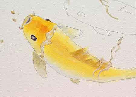 Paint the focal fish fist. How to paint a watercolor koi fish