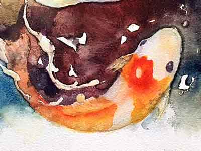 Paint some blue on the edges of the Koi fish. Paint shadow color on the edges of the koi fish to give it form.