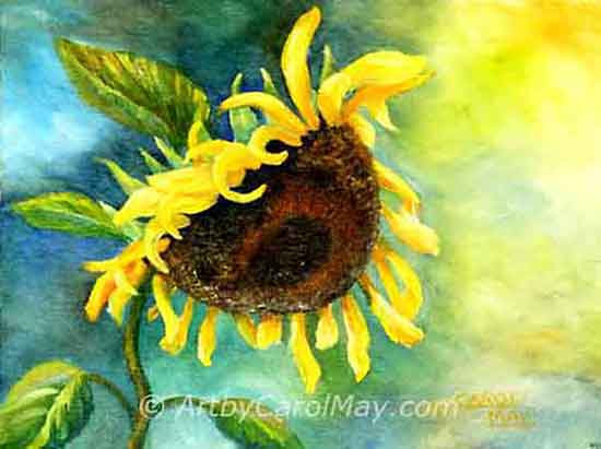Painting of a Giant Sunflowers that feeds the birds. An oil sunflower painting, see more paintings of flowers by Carol May/