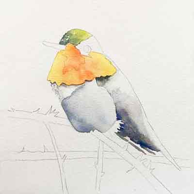 Start a watercolor with light washes.