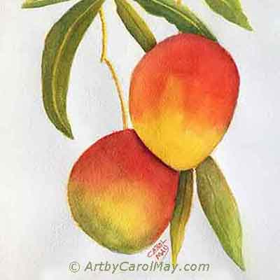 Start painting with artist Carol May. Library of watercolor and oil step-by-step paintings