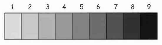 Values in art range from black to white on a 9 point scale. The nine-step value scale