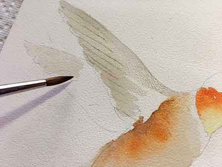 Mix blue and orange for a neutral wing color.