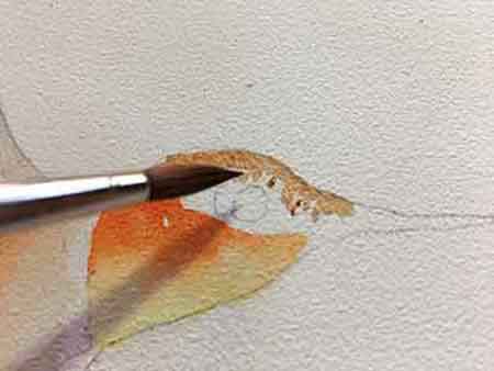 Stipple the feathers on the top of the hummingbird's head.