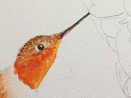 Paint the hummingbirds eye and beak with a dark color.