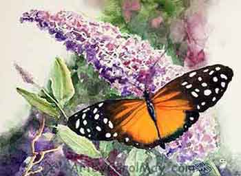 This watercolor butterfly is a "Next Level" butterfly tutorial.