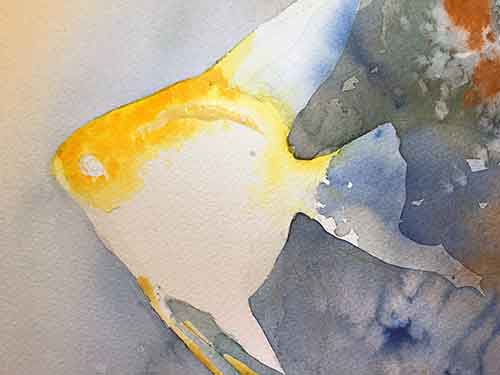 Paint orange into the damp yellow color. Continue painting the angelfish with orange.