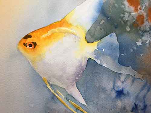 Start painting the black spots. Paint the eye of the angelfish.