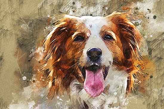 People love to paint their pets. What is modern fine art?