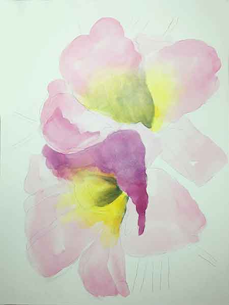 Paint the shadow areas on the daylily flower.