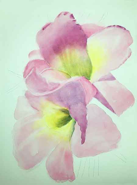 Paint all of the daylily petals.