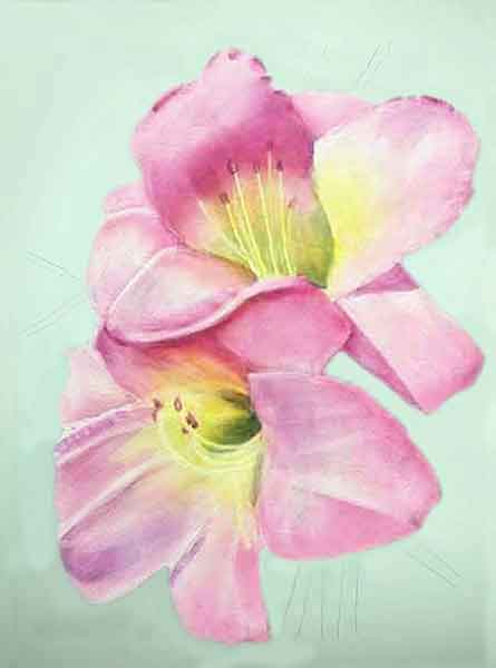 Refine the details on the daylily.