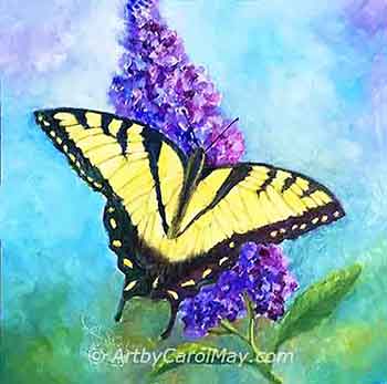 Beautiful butterfly paintings by Carol May