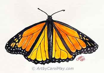 Draw and paint the majestic Monarch with an easy butterfly painting tutorial.