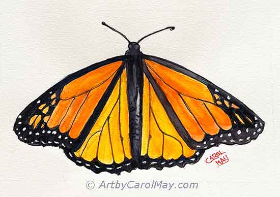 Draw and paint the majestic Monarch with an easy butterfly painting tutorial.