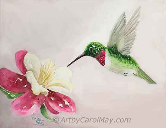 Learn how to paint a watercolor hummingbird step-by-step.