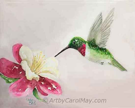 Learn how to paint a watercolor hummingbird step-by-step.