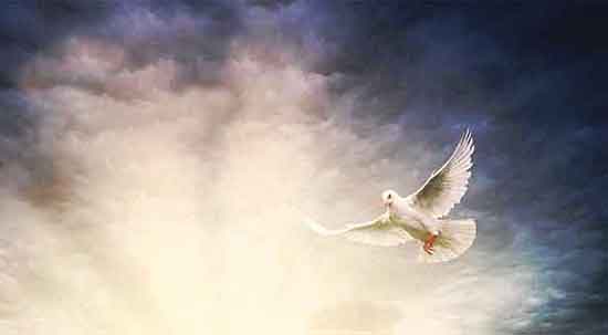 Learning how to visit heaven.