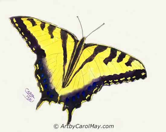 How to paint a butterfly watercolor tutorial.