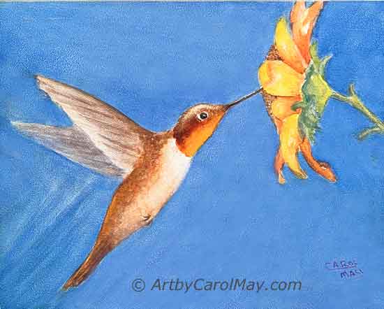 How to paint a watercolor hummingbird with a flower.
