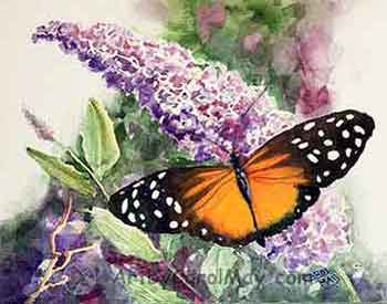 Find Butterfly tutorials in watercolor and oils on art by Carol May.
