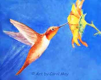 Learn the basics of watercolor for beginners.